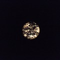 Full Moon behind the tree.jpg